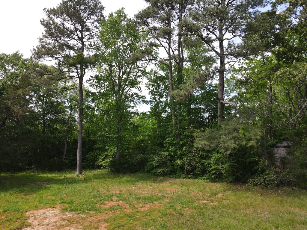 71039 Property Photo 12