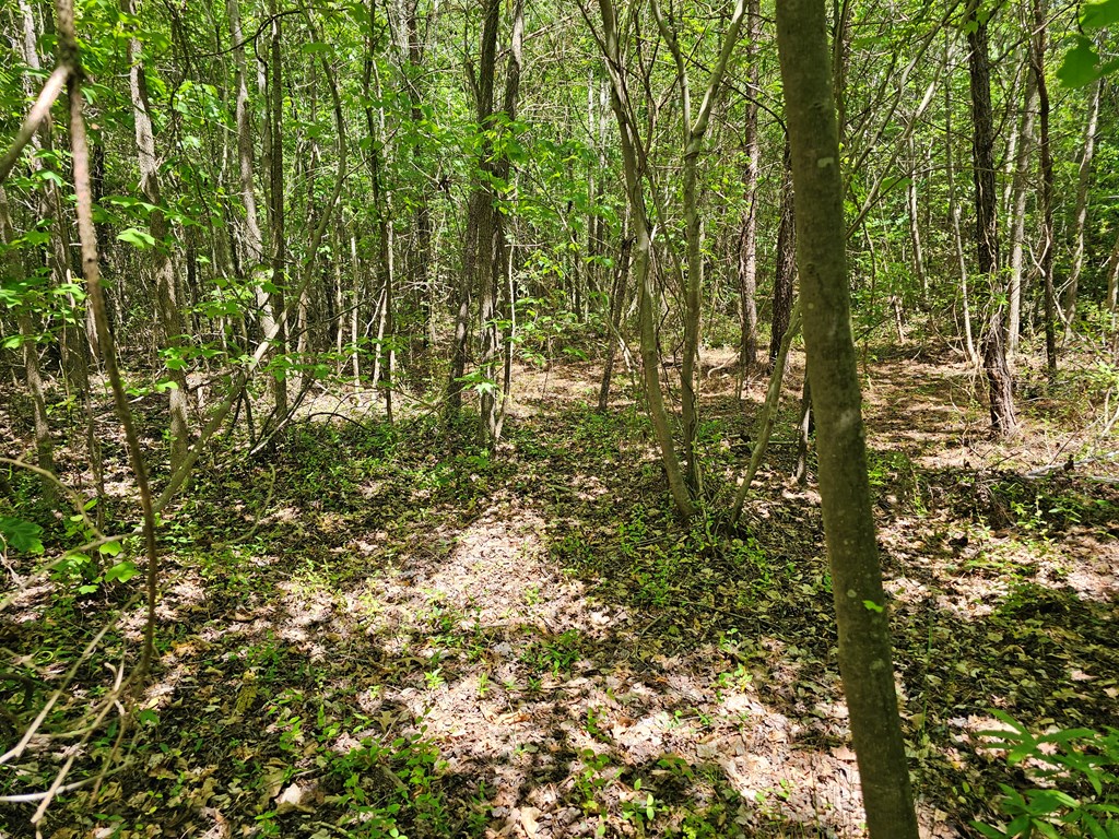 71039 Property Photo 14