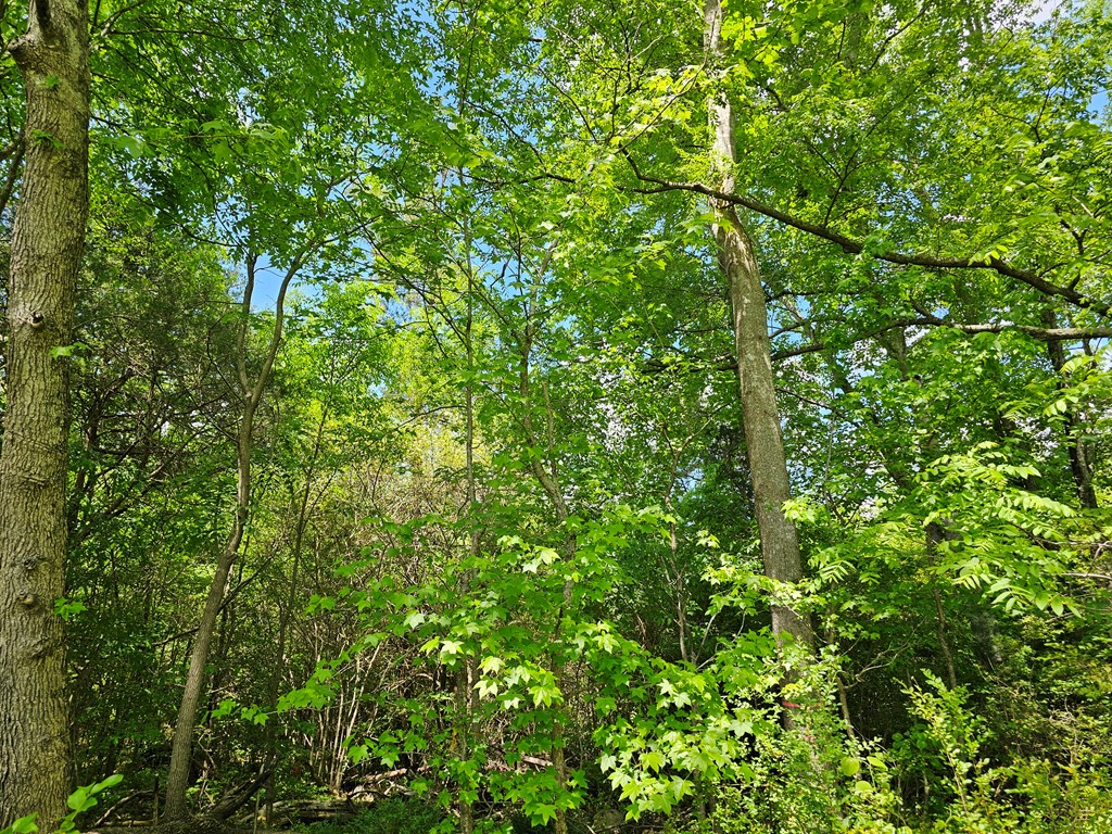 71039 Property Photo 15