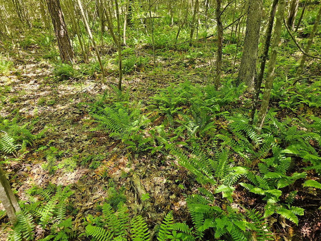 71039 Property Photo 16