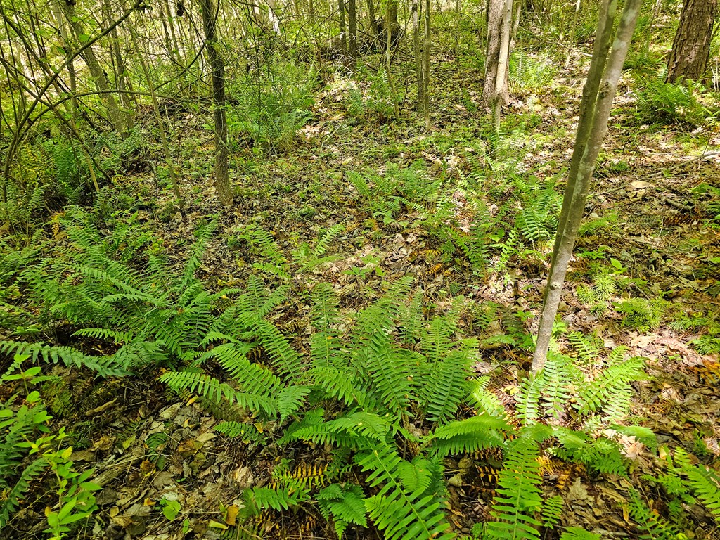71039 Property Photo 17