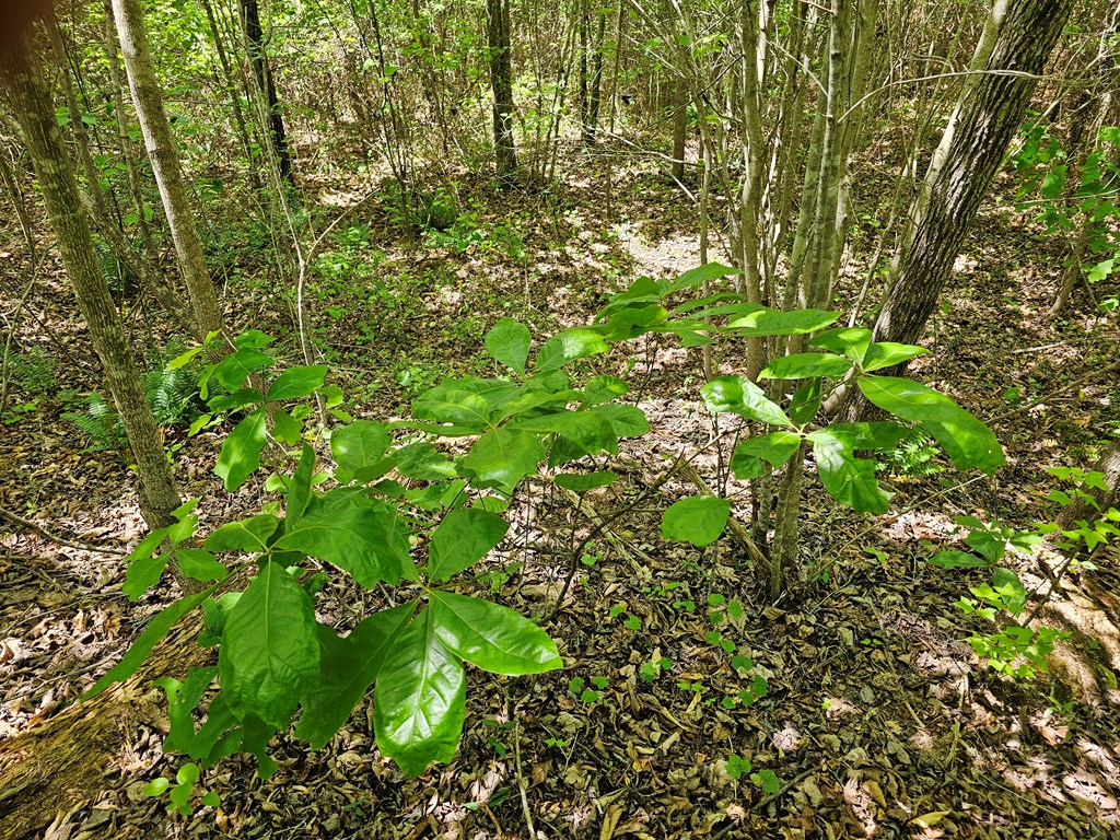 71039 Property Photo 18