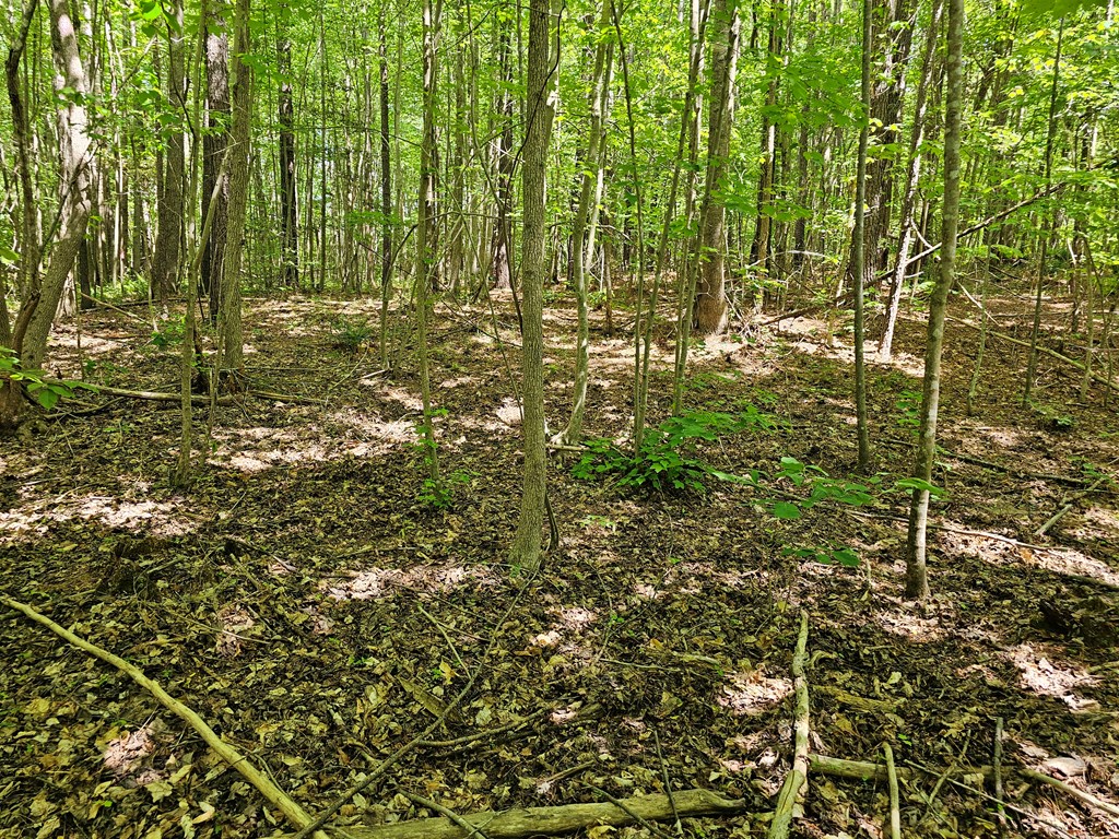 71039 Property Photo 19