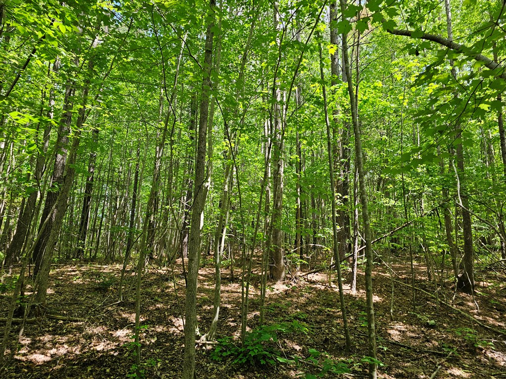 71039 Property Photo 22