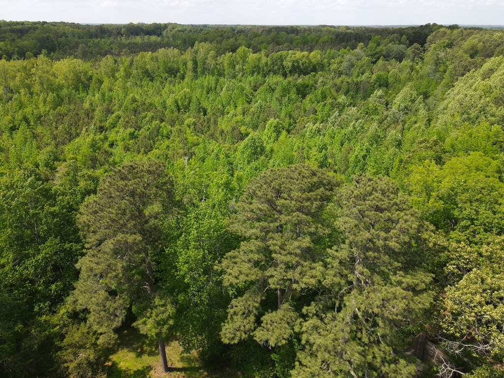 71039 Property Photo 27