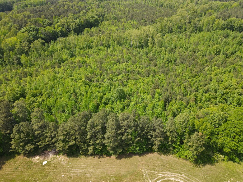 71039 Property Photo 28