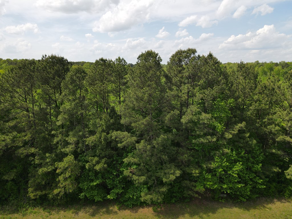 71039 Property Photo 31