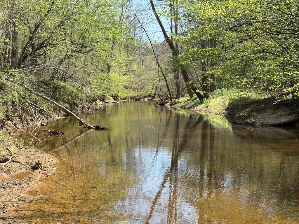 Lewistown Road