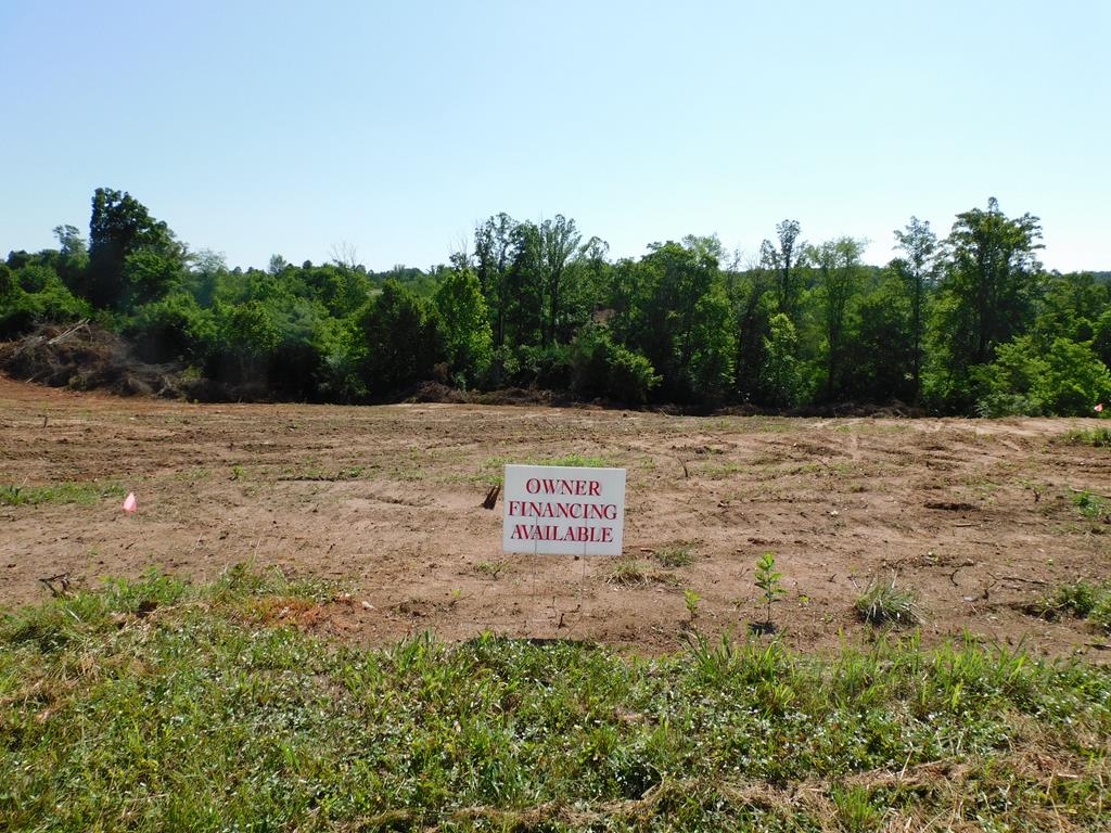 21.52 Ac Strawberry Road Property Photo 4