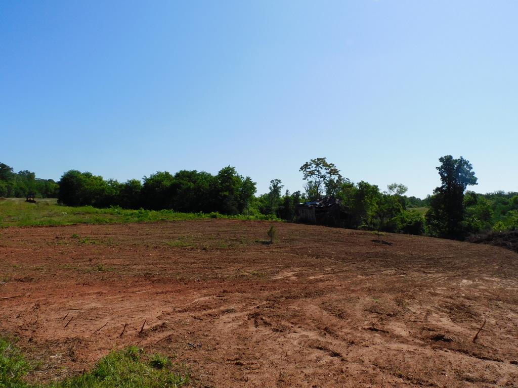 21.52 Ac Strawberry Road Property Photo 11