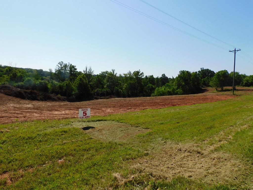 21.52 Ac Strawberry Road Property Photo 21