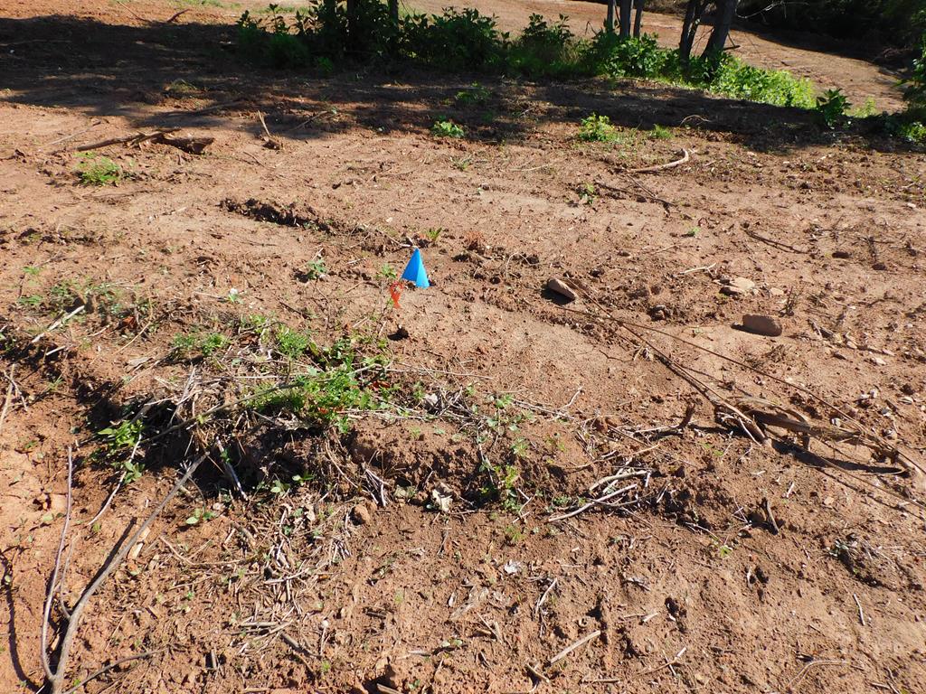 21.52 Ac Strawberry Road Property Photo 30