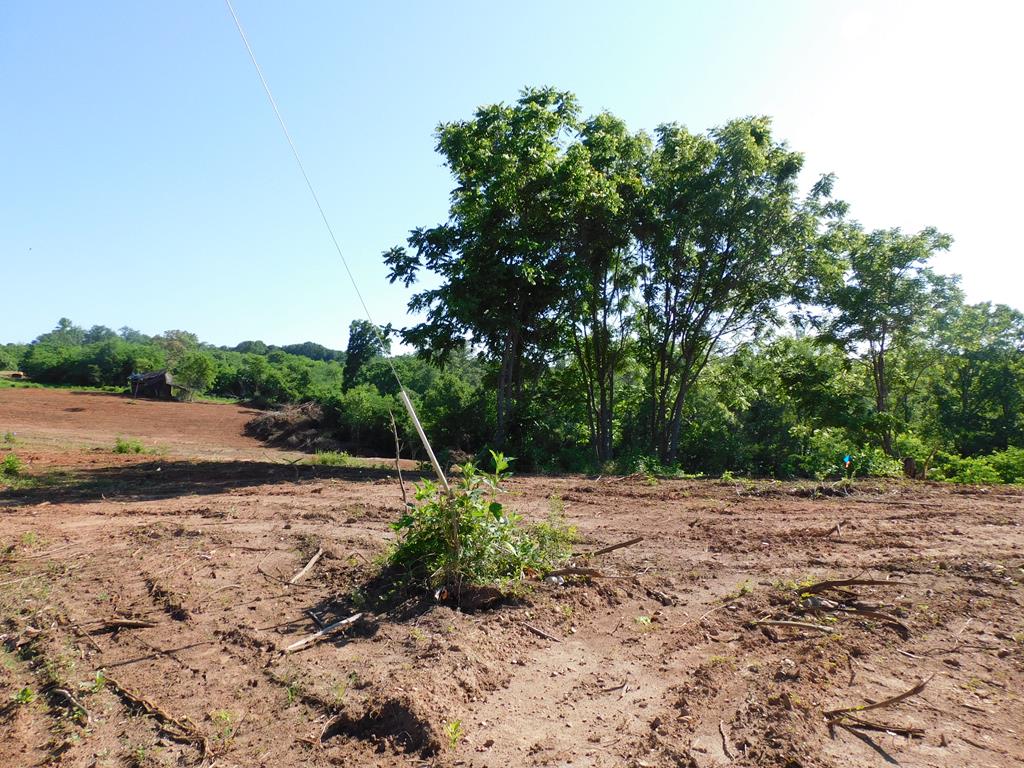 21.52 Ac Strawberry Road Property Photo 31
