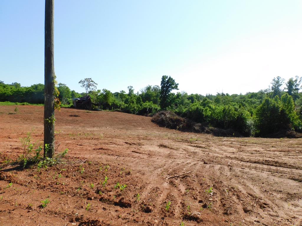 21.52 Ac Strawberry Road Property Photo 48