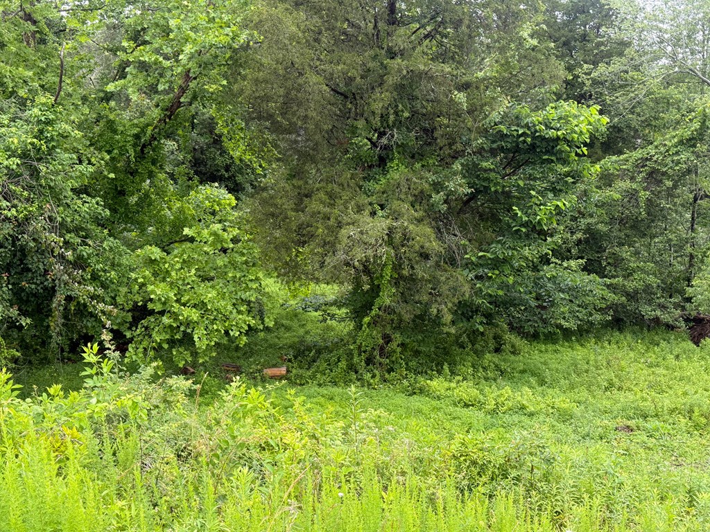 5971 Seminole Trail Property Photo 10