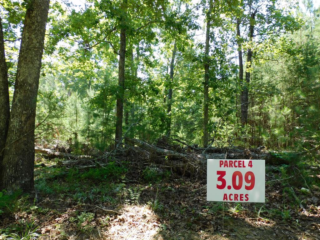3.09 Ac Neals Corner Road Property Photo 1