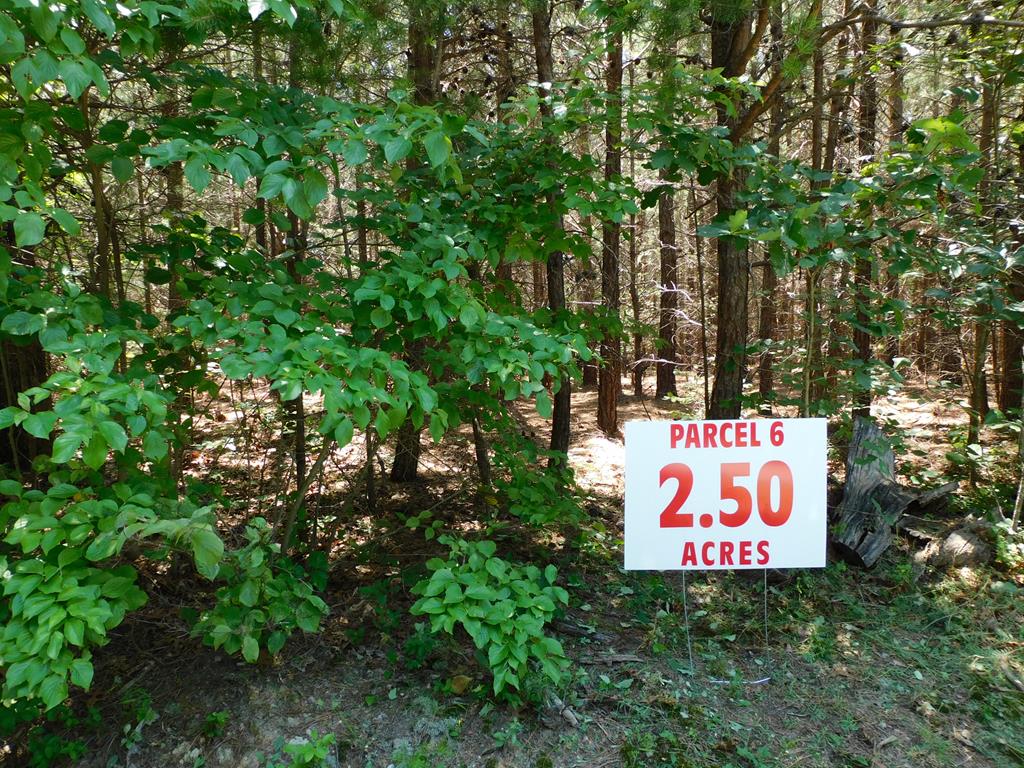 2.50 Ac Neals Corner Road Property Photo 1