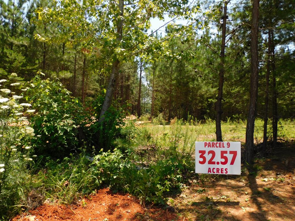 32.57 Ac Neals Corner Road Property Photo 1