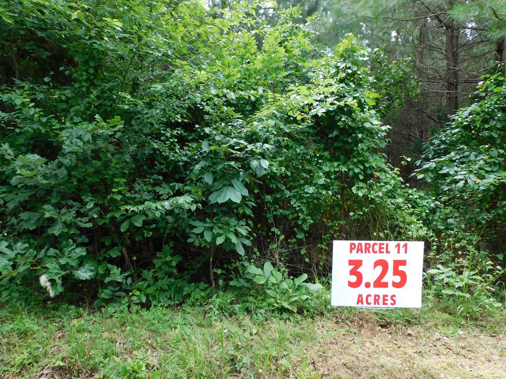 3.25 Ac Neals Corner Road Property Photo 1