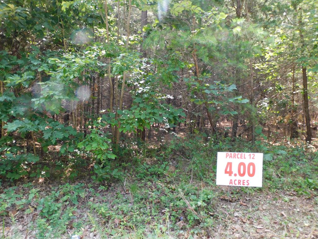 4 Ac Neals Corner Road Property Photo 1