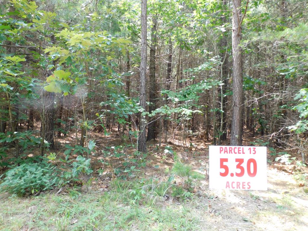 5.30 Ac Neals Corner Road Property Photo 1