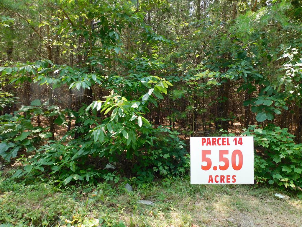 5.50 Ac Neals Corner Road Property Photo 1