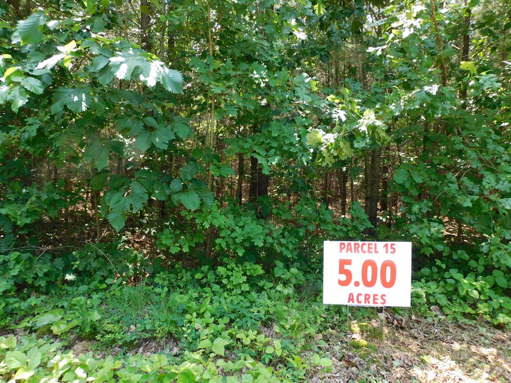 5 Ac Neals Corner Road Property Photo 1