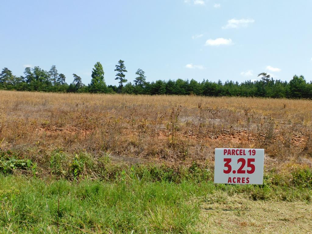 3.25 AC Lloyds Mill Road Property Photo 1