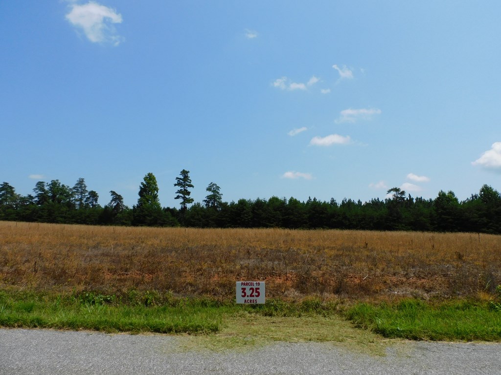 3.25 Ac Lloyds Mill Road Property Photo 2