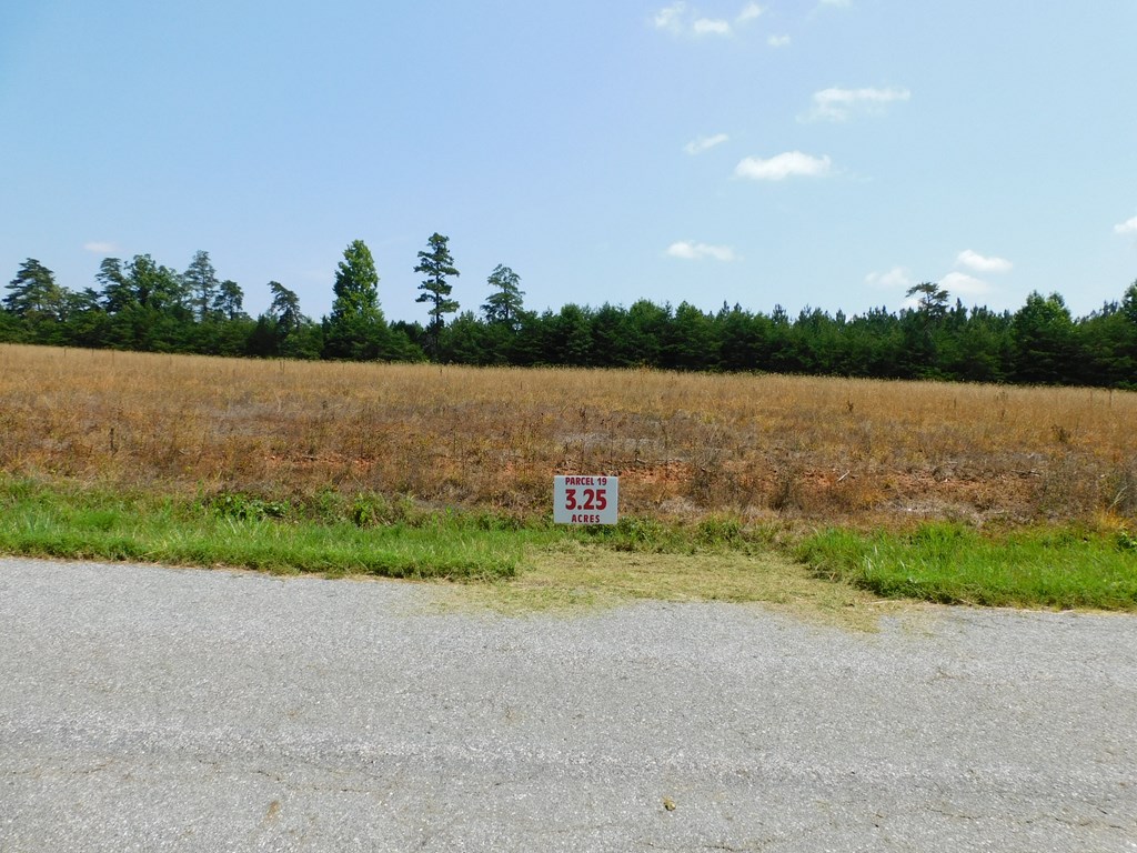 3.25 Ac Lloyds Mill Road Property Photo 3