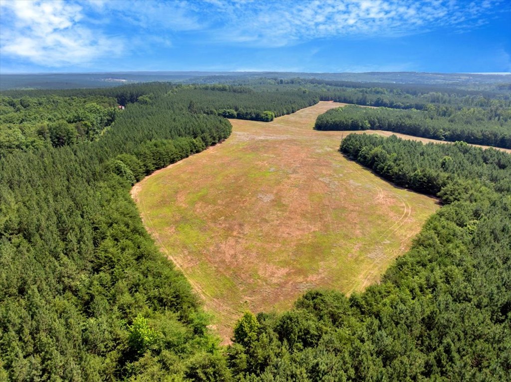3.25 Ac Lloyds Mill Road Property Photo 13