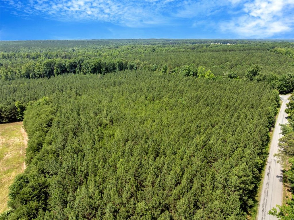 3.25 Ac Lloyds Mill Road Property Photo 14