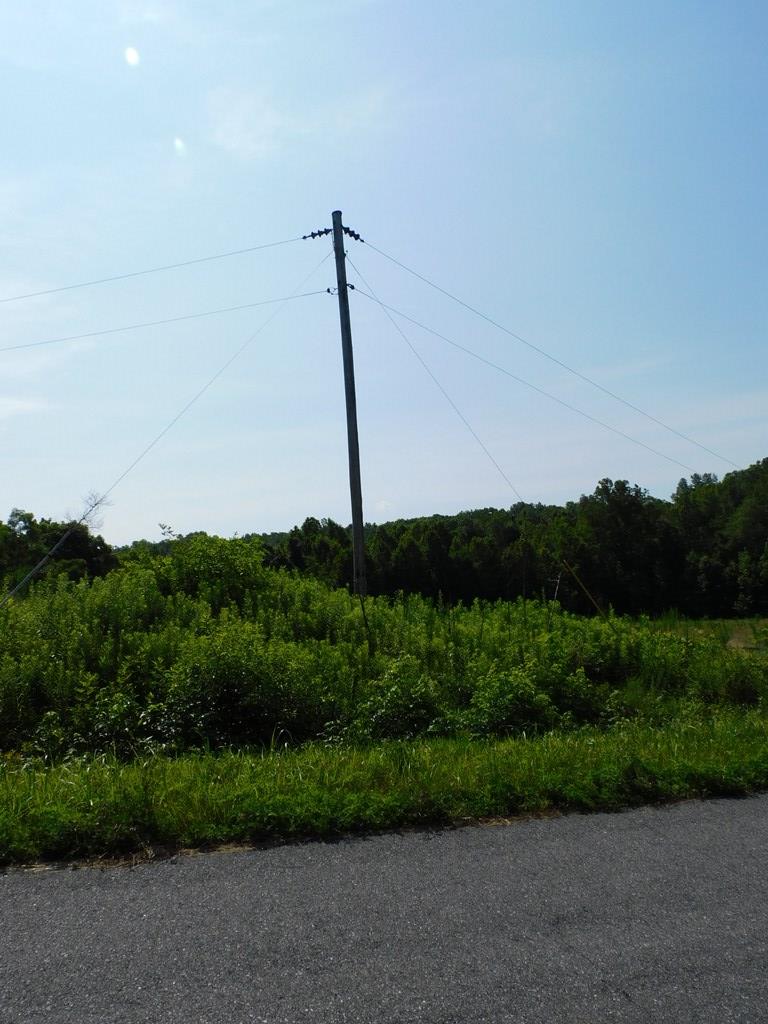 3.25 Ac Lloyds Mill Road Property Photo 34