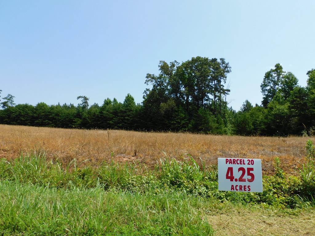 4.25 AC Lloyds Mill Road Property Photo 1