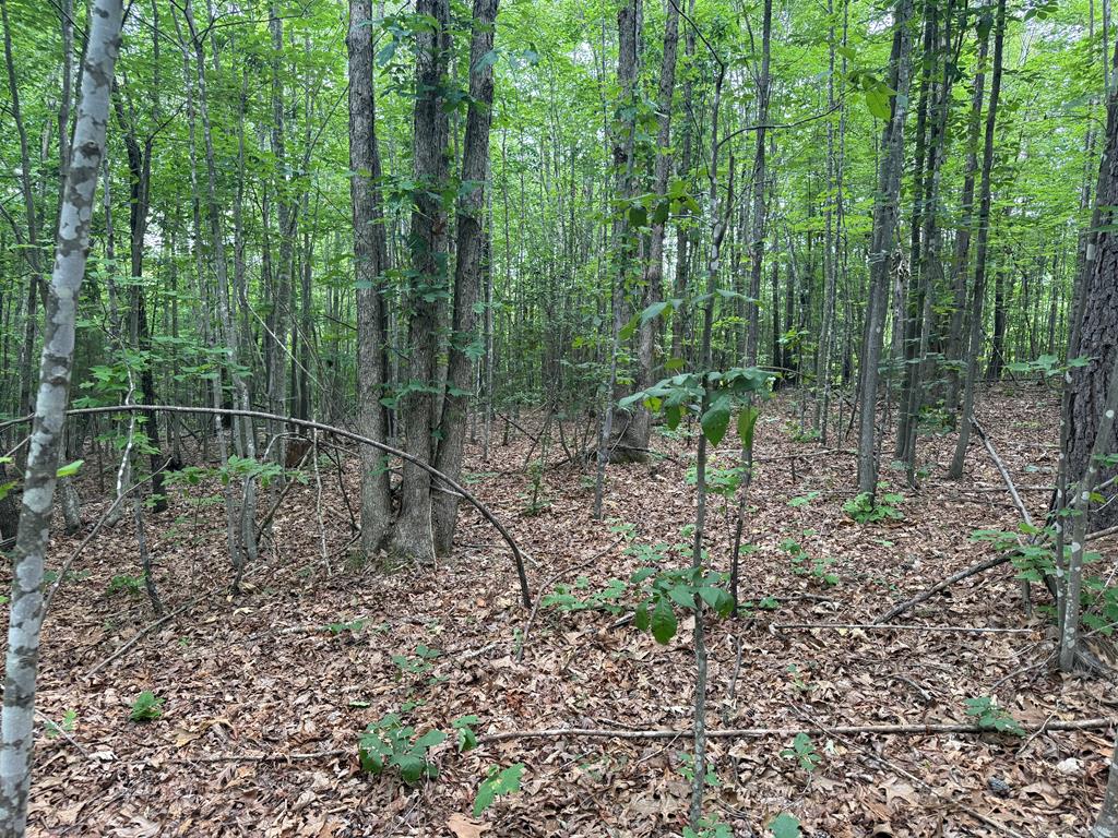 1300 Greenfield Drive Property Photo 3