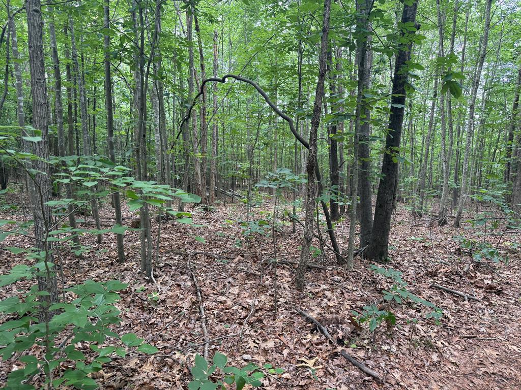 1300 Greenfield Drive Property Photo 6