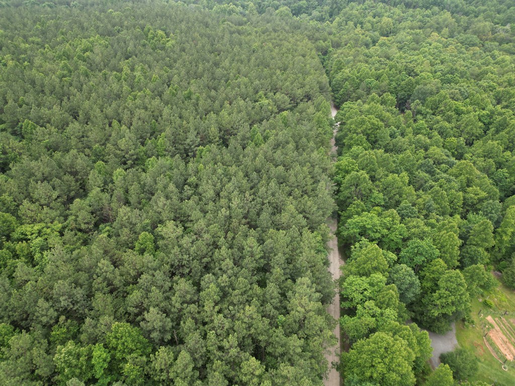 1300 Greenfield Drive Property Photo 14