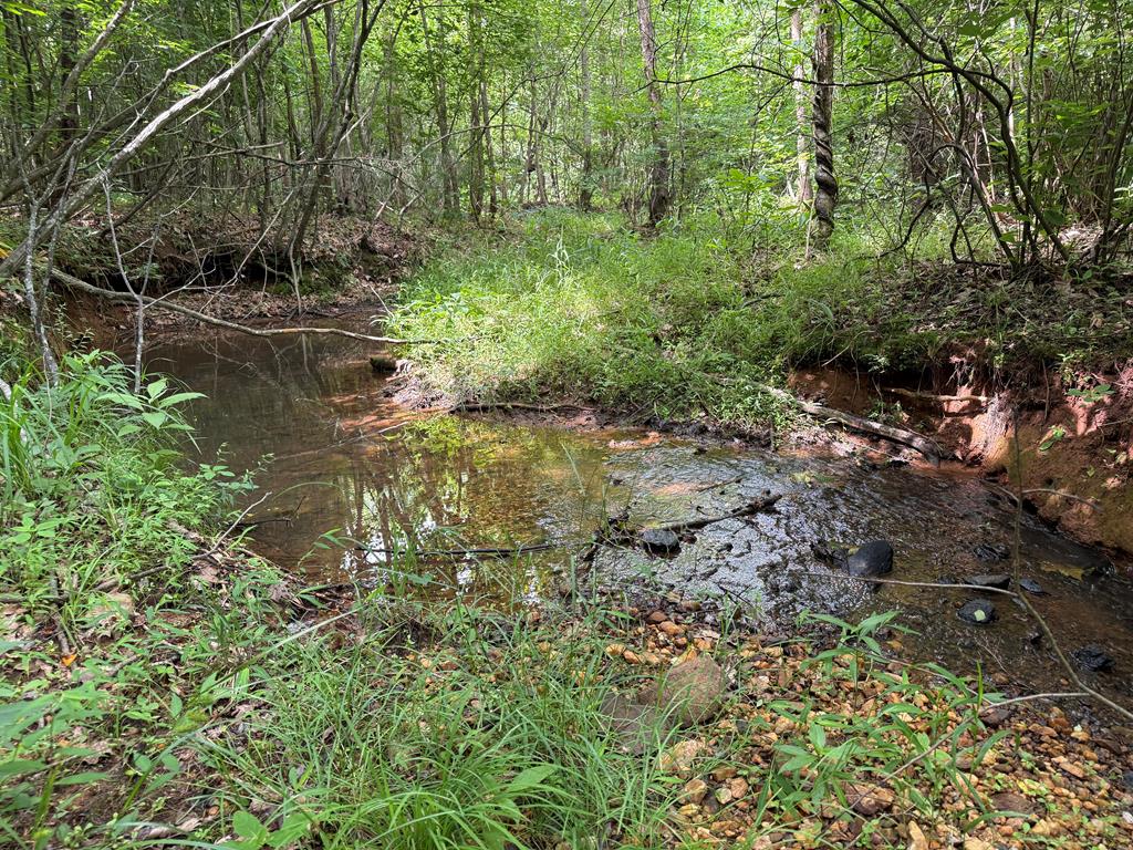 1300 Greenfield Drive Property Photo 18