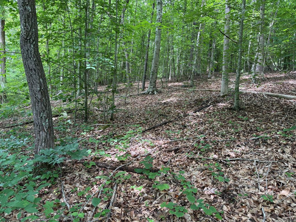 1300 Greenfield Drive Property Photo 19