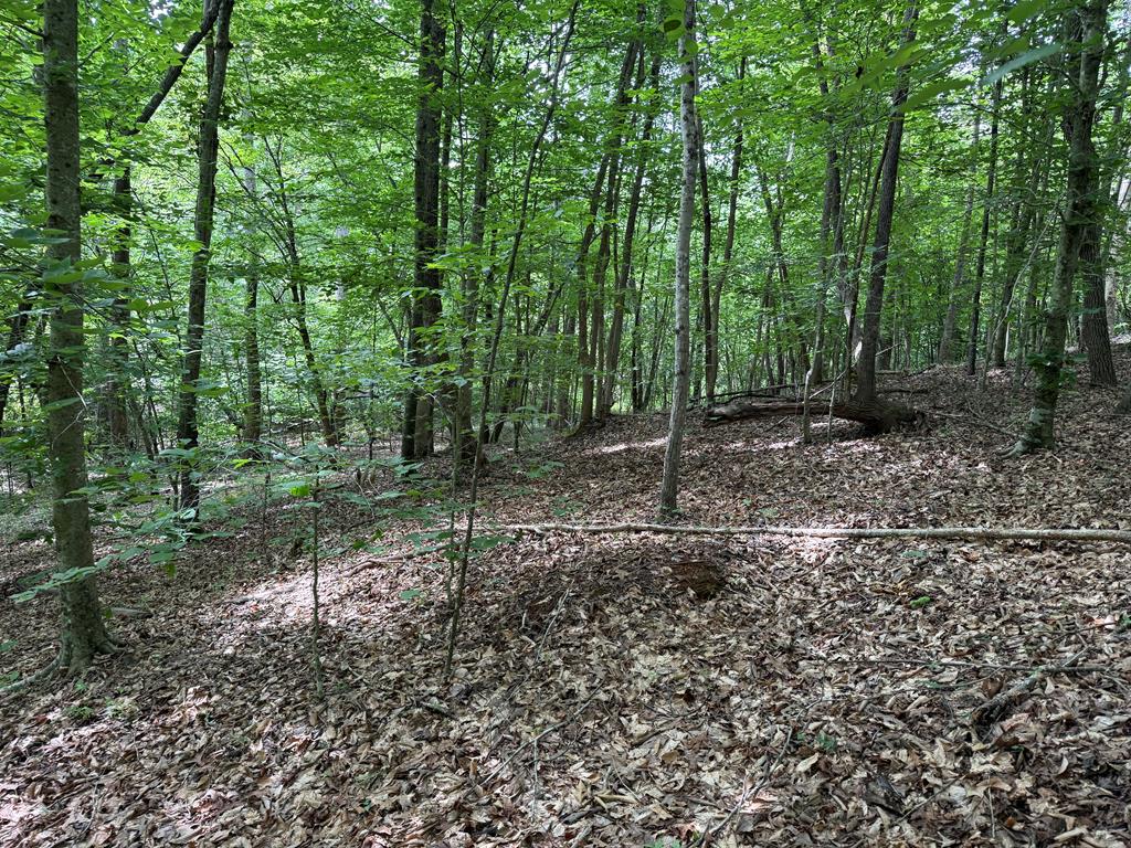 1300 Greenfield Drive Property Photo 21