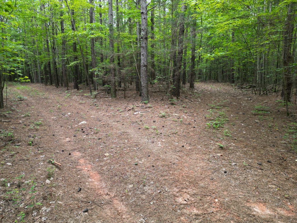 1300 Greenfield Drive Property Photo 22