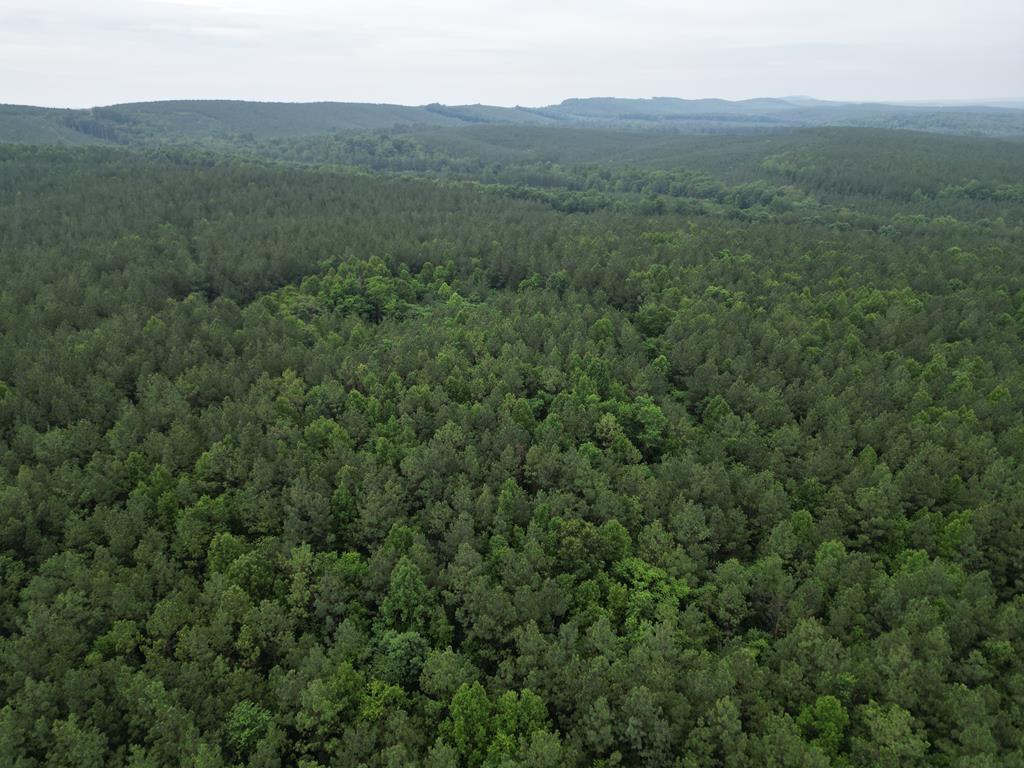 1300 Greenfield Drive Property Photo 33