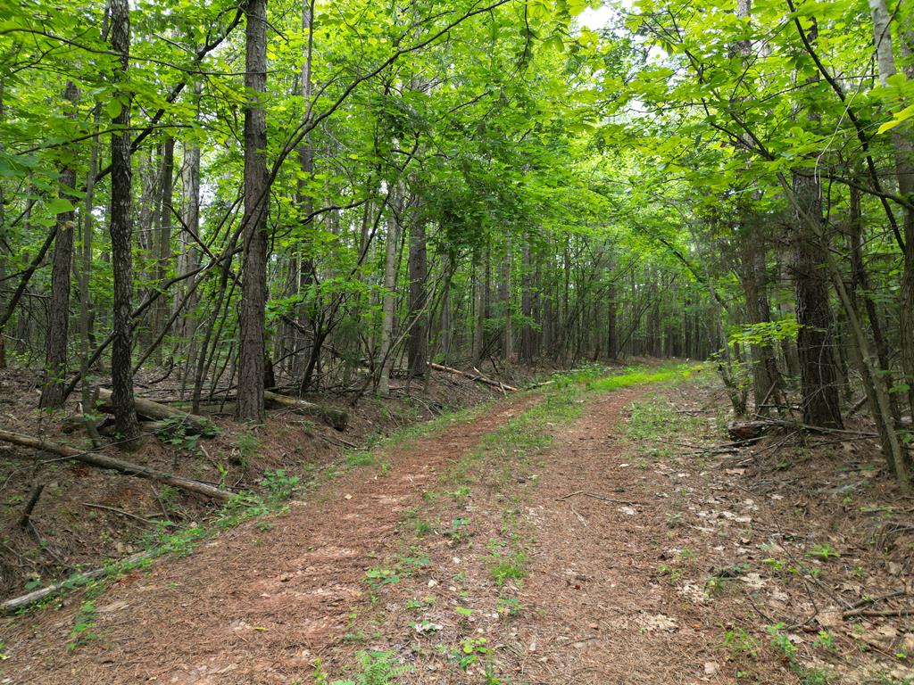 1300 Greenfield Drive Property Photo 34