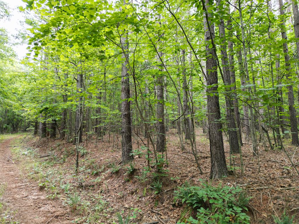 1300 Greenfield Drive Property Photo 35