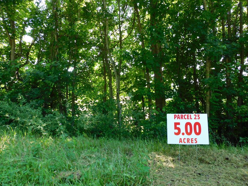 5 Ac Lloyds Mill Road Property Photo 1
