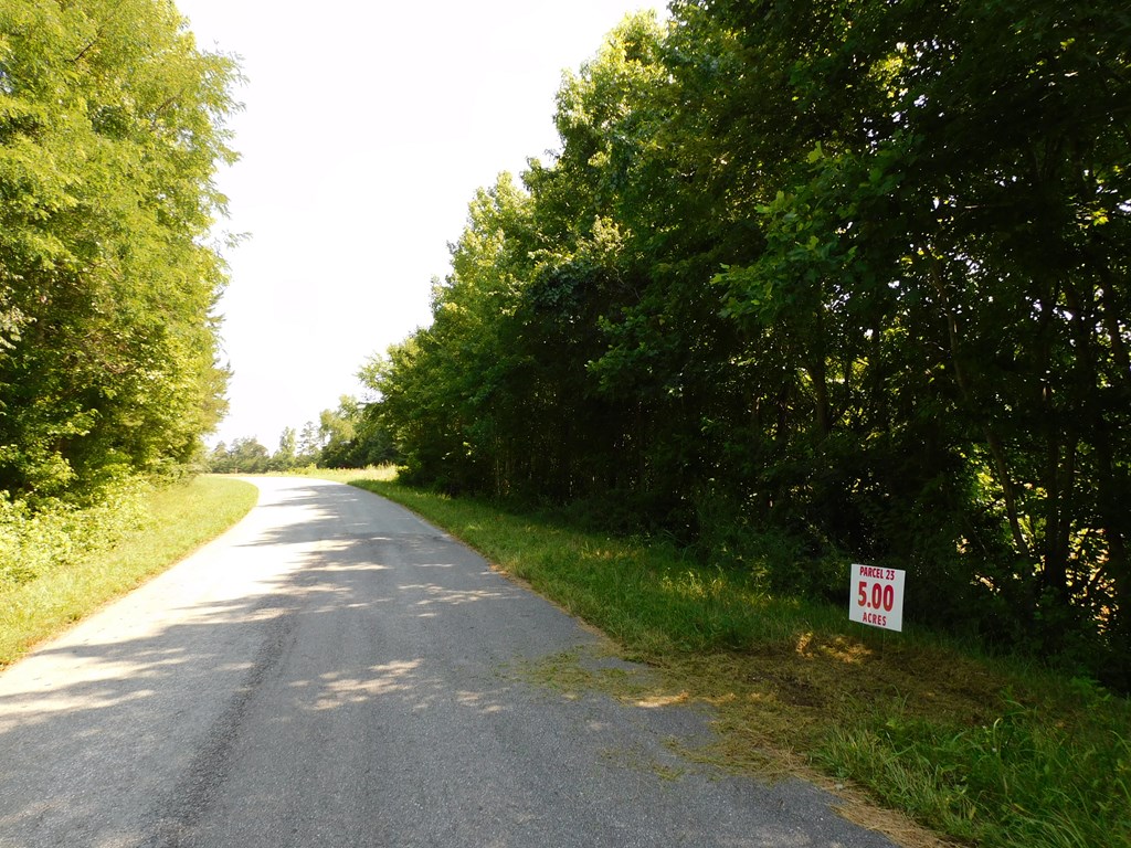 5 Ac Lloyds Mill Road Property Photo 3