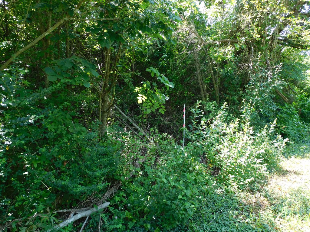5 Ac Lloyds Mill Road Property Photo 4