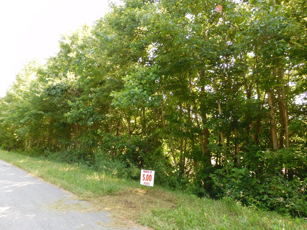 5 Ac Lloyds Mill Road Property Photo 6