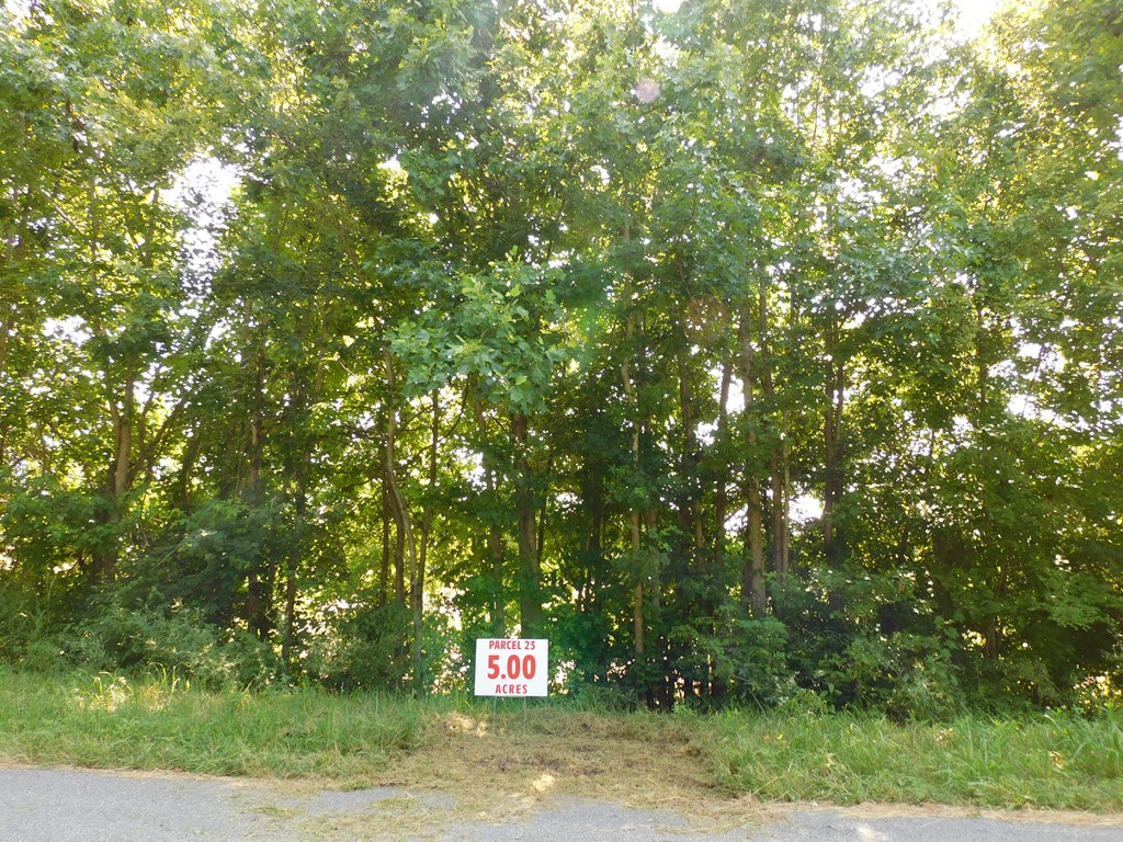 5 Ac Lloyds Mill Road Property Photo 7