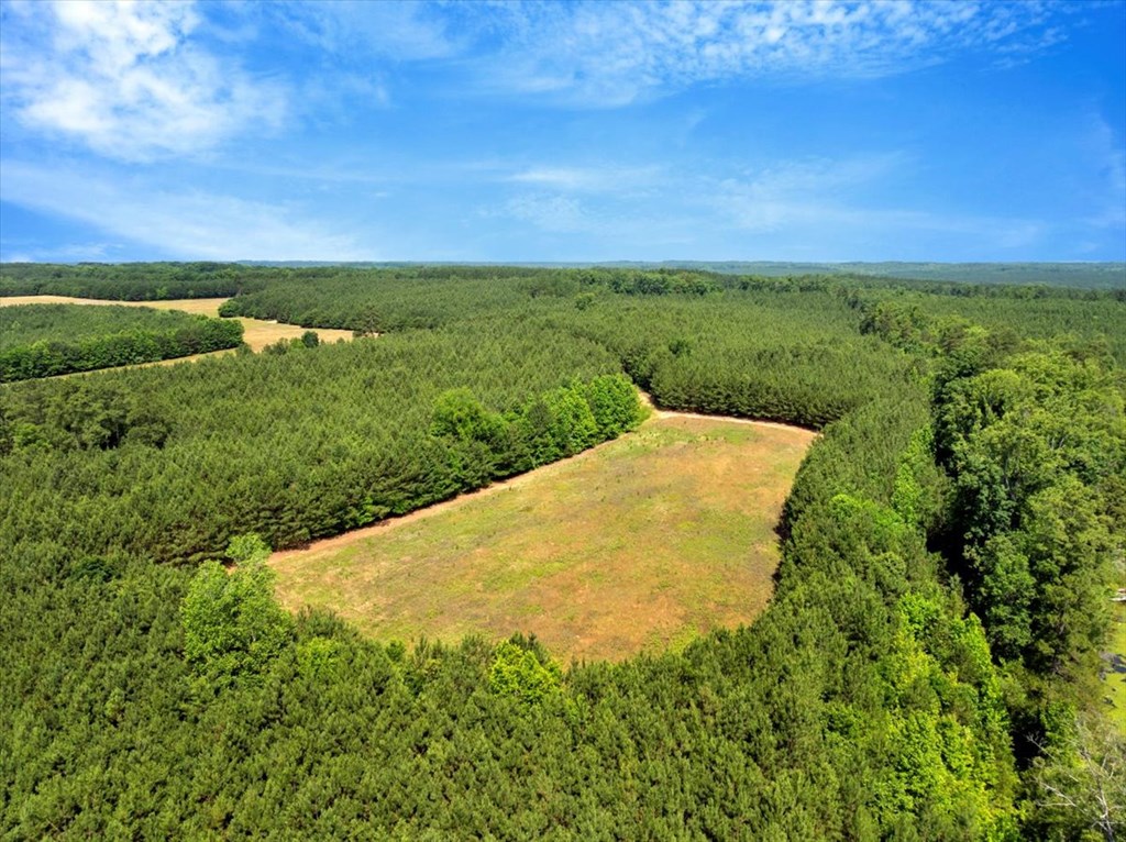 5 Ac Lloyds Mill Road Property Photo 12